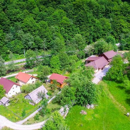 Pensiunea Lupul Dacic Costesti  Exterior photo