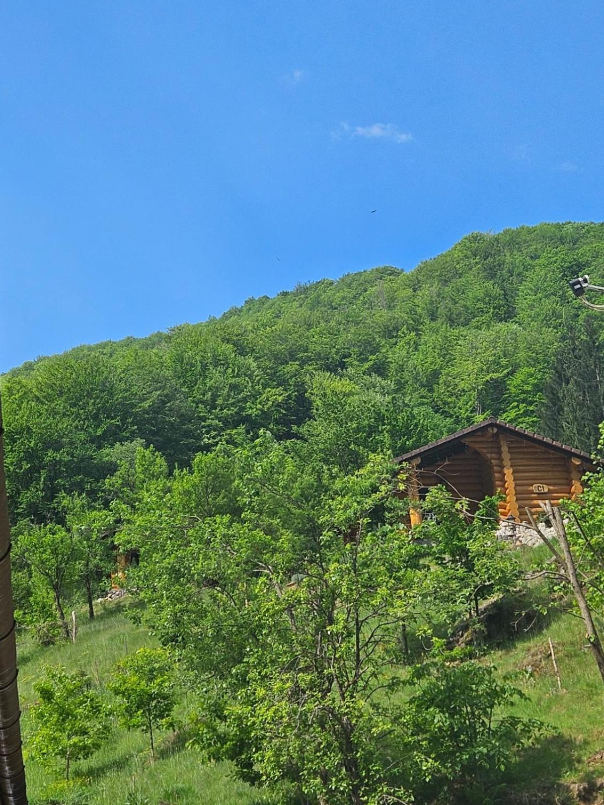 Pensiunea Lupul Dacic Costesti  Exterior photo