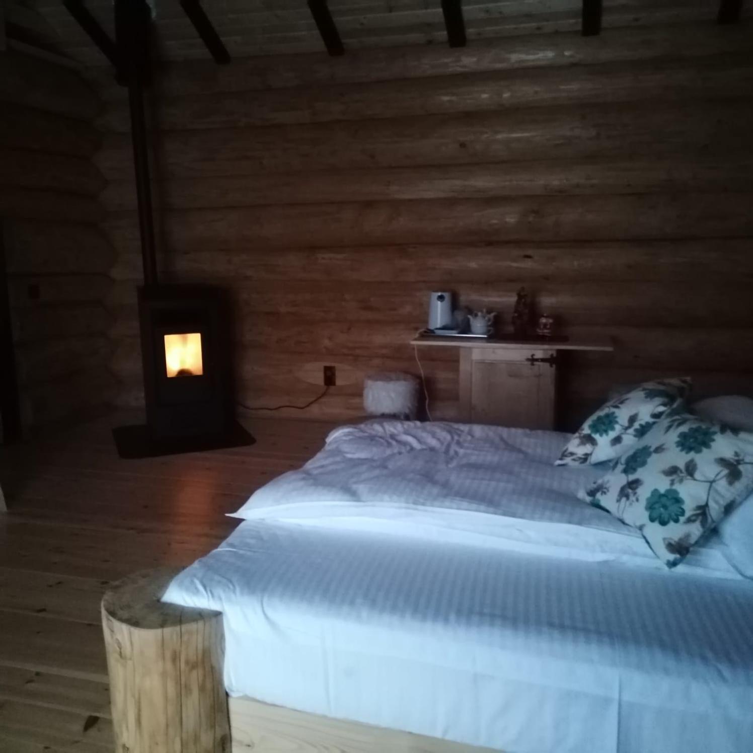 Pensiunea Lupul Dacic Costesti  Room photo