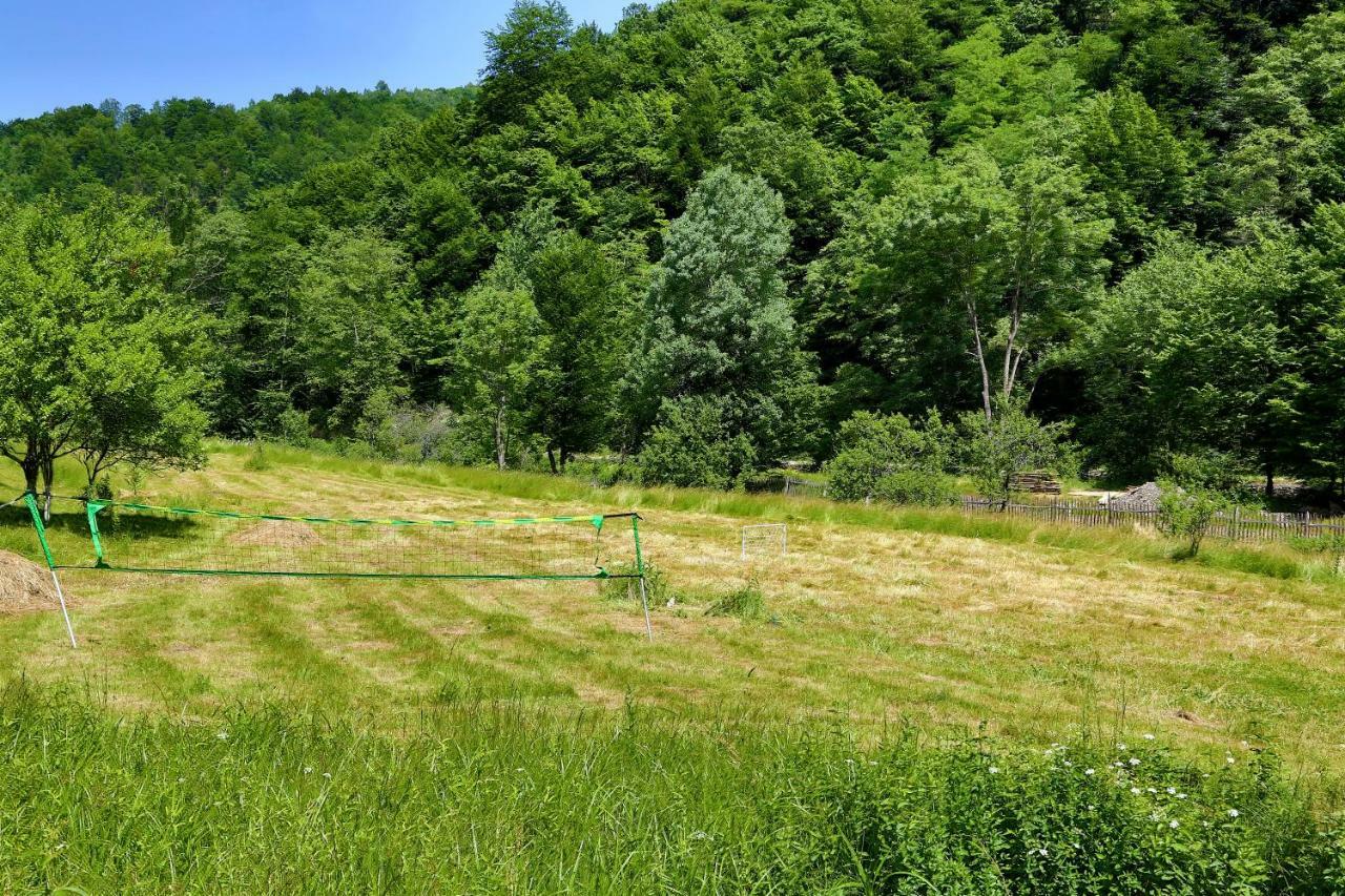 Pensiunea Lupul Dacic Costesti  Exterior photo