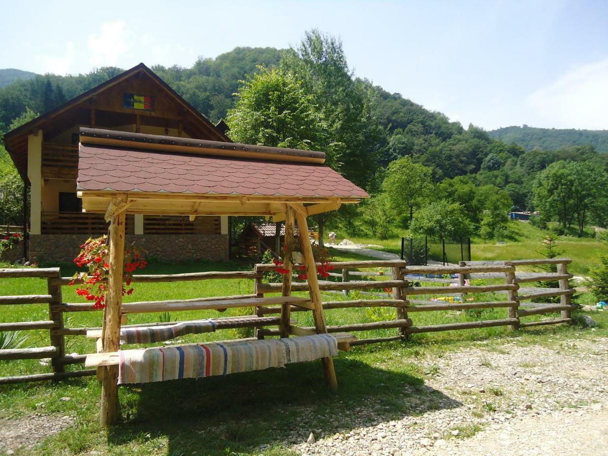 Pensiunea Lupul Dacic Costesti  Exterior photo