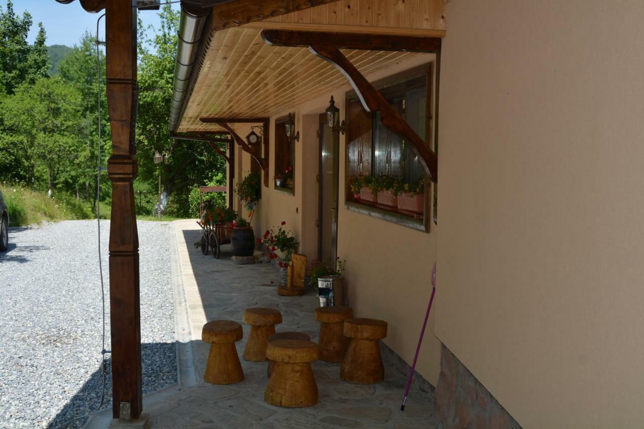 Pensiunea Lupul Dacic Costesti  Exterior photo