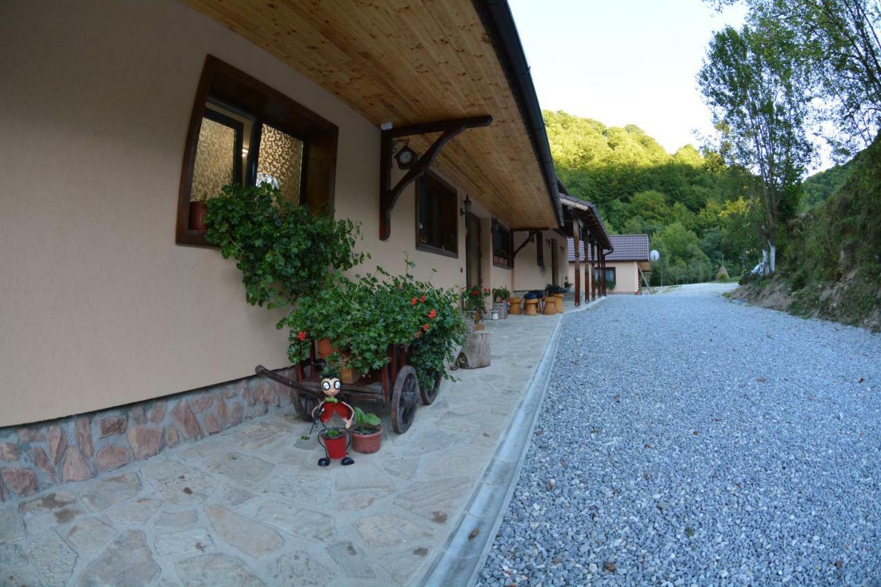 Pensiunea Lupul Dacic Costesti  Exterior photo