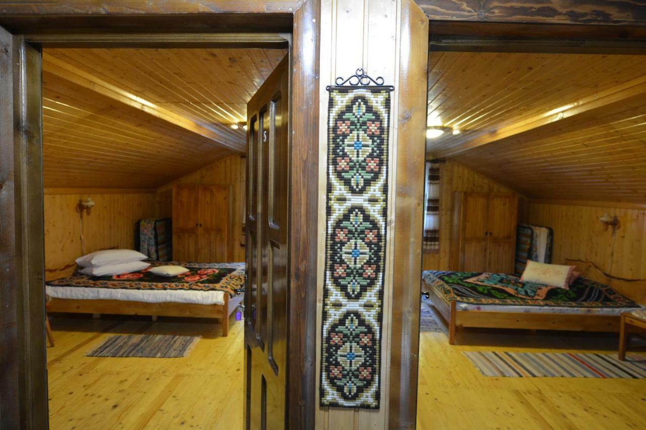 Pensiunea Lupul Dacic Costesti  Exterior photo