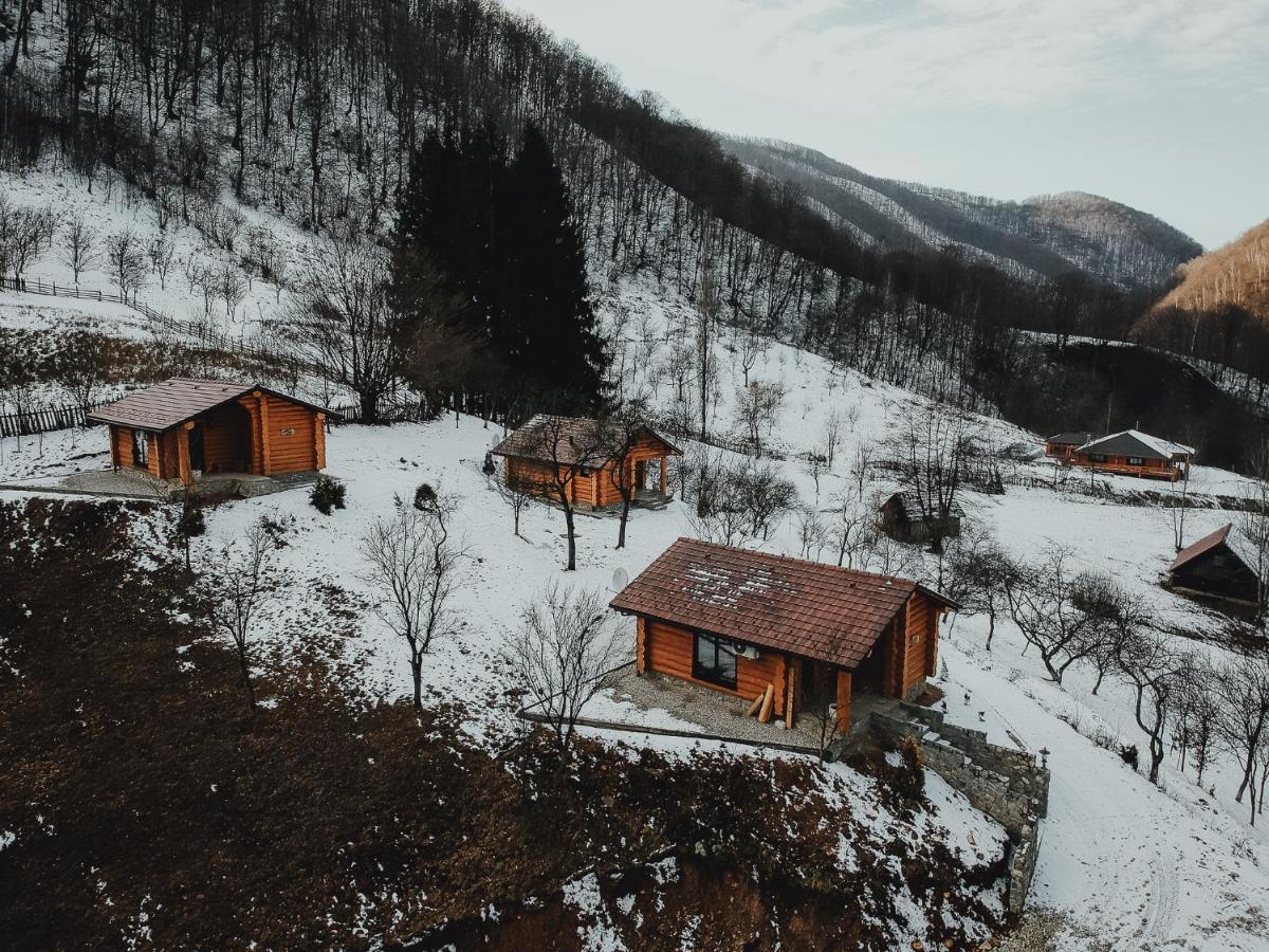 Pensiunea Lupul Dacic Costesti  Exterior photo